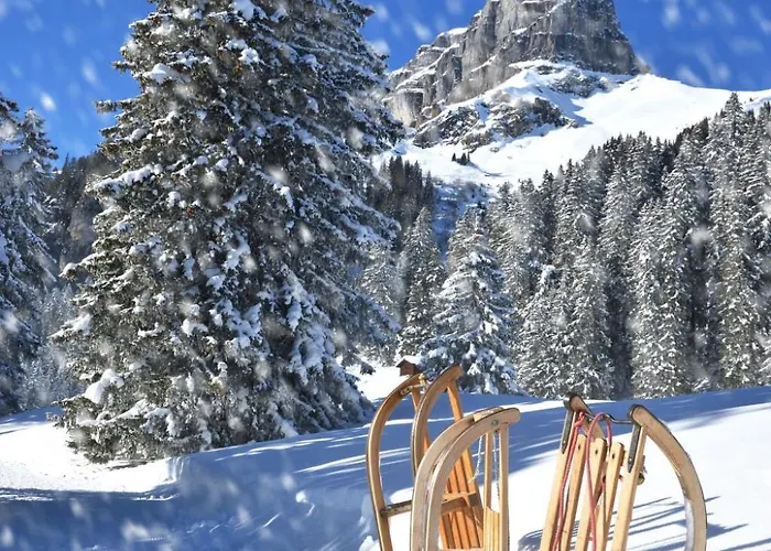 Seewiese Apt- 103 By Interhome Apartment